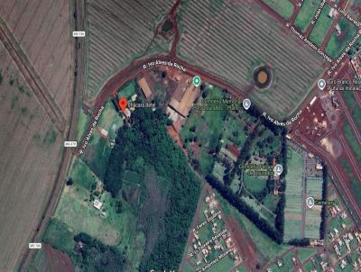 Ch�cara para Venda, em Dourados, bairro Altos do Indaia