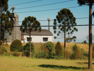 Fazenda para Venda, em Abelardo Luz, bairro DIVISA DE SANTA CATARINA E PARAN�