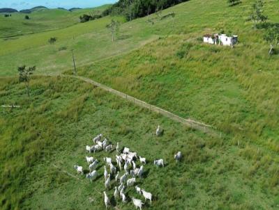 Fazenda para Venda, em Rio Bonito, bairro �rea Rural, 3 dormit�rios, 2 banheiros, 1 su�te, 2 vagas