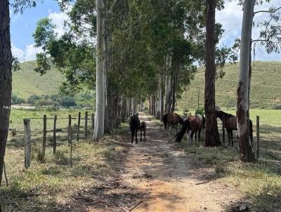 Fazenda para Venda, em Rio Bonito, bairro �rea Rural, 6 dormit�rios, 4 banheiros, 2 su�tes