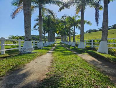 Fazenda para Venda, em , bairro Area Rual, 8 dormit�rios, 8 banheiros, 6 su�tes, 4 vagas