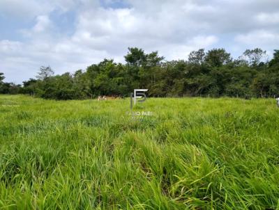 Fazenda para Venda, em Silva Jardim, bairro Area Rual, 2 dormit�rios, 1 banheiro, 2 vagas