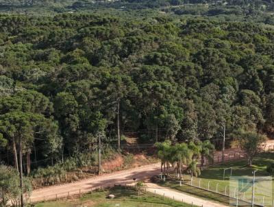 Terreno para Venda, em S�o Jos� dos Pinhais, bairro Campo Largo da Roseira