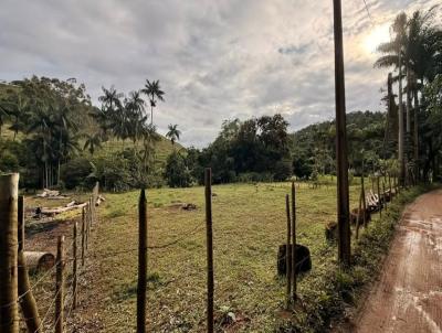 Terreno para Venda, em Vi�osa, bairro PARAISO