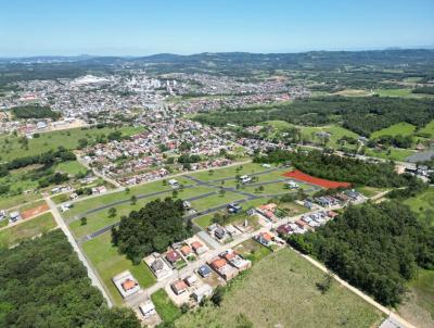Lote para Venda, em Cocal do Sul, bairro 