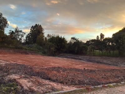 Terreno para Venda, em S�o Vicente do Sul, bairro Centro