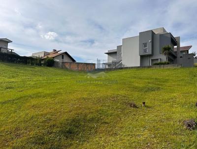 Terreno para Venda, em S�o Bento do Sul, bairro Centen�rio