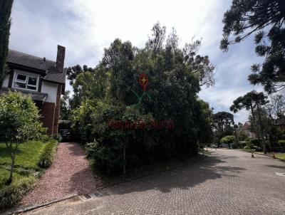 Terreno para Venda, em Canela, bairro Reserva da Serra