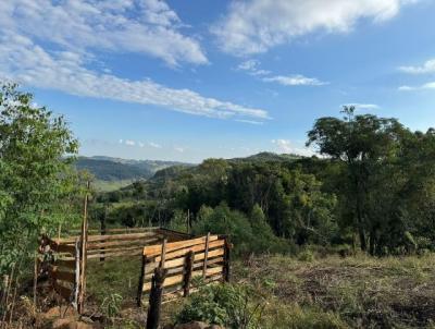 �rea Rural para Venda, em , bairro Grota