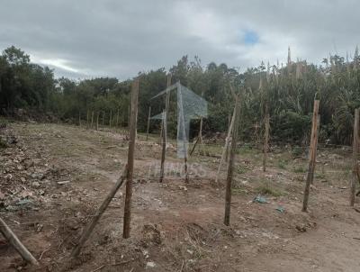 Terreno para Venda, em S�o Sebasti�o, bairro Enseada