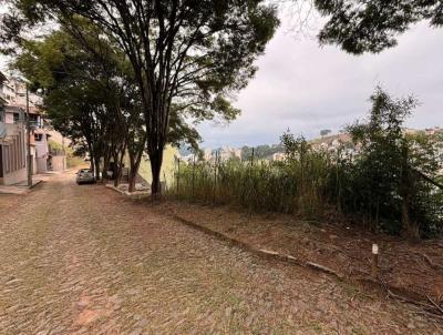 Lote para Venda, em Vi�osa, bairro 