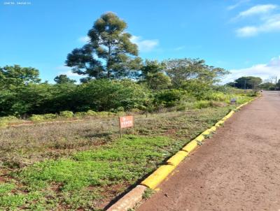 Terreno para Venda, em Horizontina, bairro NOVO HORIZONTE