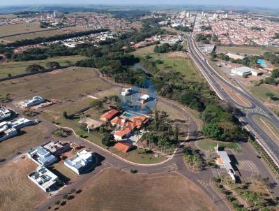 Terreno para Venda, em Monte Alto, bairro RESIDENCIAL SANTA CLARA