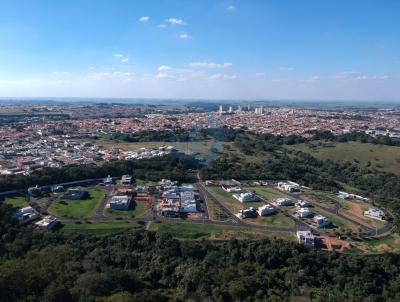 Terreno para Venda, em Monte Alto, bairro Residencial Quinta do Monte