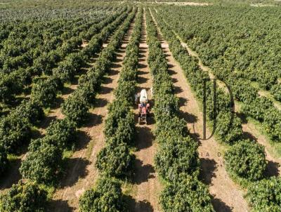 Fazenda para Venda, em Juazeiro, bairro Zona Rural