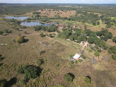 Fazenda para Venda, em Nossa Senhora do Livramento, bairro rural