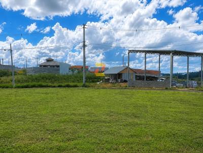 Terreno para Venda, em Guarapuava, bairro NOVA CIDADE