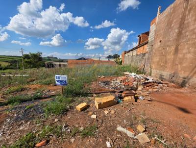 Terreno Residencial para Venda, em Batatais, bairro JARDIM VENEZA