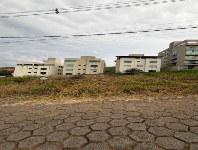 Lote para Venda, em Vi�osa, bairro SANTO ANTONIO