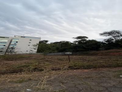Lote para Venda, em Vi�osa, bairro SANTO ANTONIO