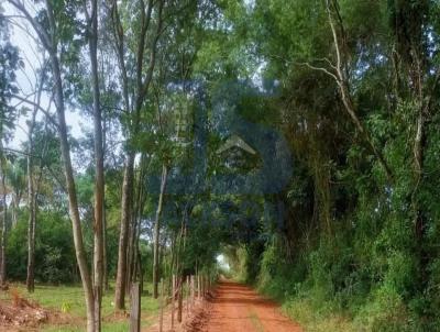 Ch�cara para Venda, em , bairro 