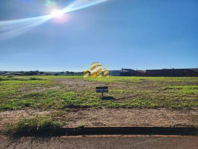 Terreno para Venda, em C�ndido Mota, bairro Centro