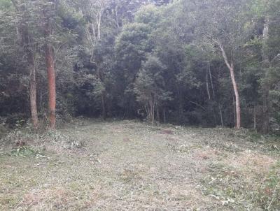 Terreno para Venda, em Mogi das Cruzes, bairro Conjunto Residencial Santo �ngelo