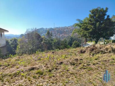 Terreno para Venda, em Conc�rdia, bairro Redin