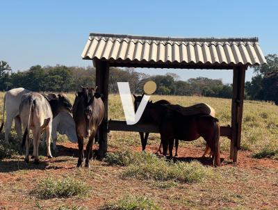 Ch�cara para Venda, em Santo Expedito, bairro , 2 dormit�rios, 1 banheiro