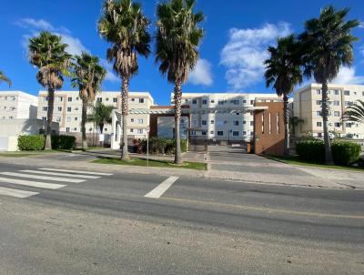 Apartamento para Loca��o, em Palho�a, bairro Bela Vista, 2 dormit�rios, 1 banheiro, 1 vaga