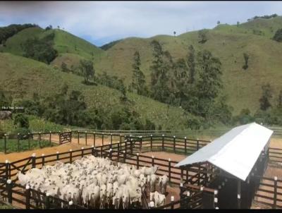Fazenda para Venda, em Trajano de Moraes, bairro , 2 dormit�rios, 1 banheiro, 2 vagas