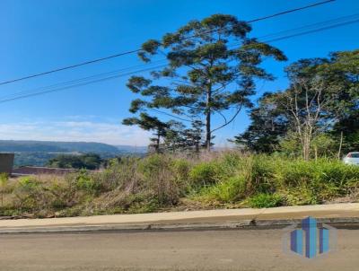 Terreno para Venda, em Conc�rdia, bairro Sintrial