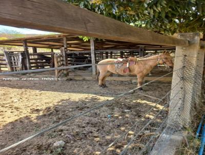 Fazenda para Venda, em Vit�ria da Conquista, bairro Inhobim