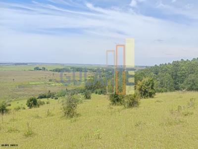 Fazenda para Venda, em Viam�o, bairro Itapu�