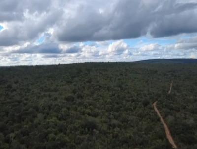 Fazenda para Venda, em Ninheira, bairro 