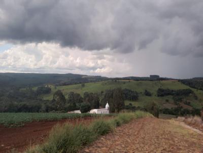 Fazenda para Venda, em Guarapuava, bairro INTERIOR DO MUNIC�PIO