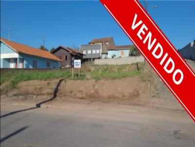 Terreno para Venda, em S�o Bento do Sul, bairro Bras�lia