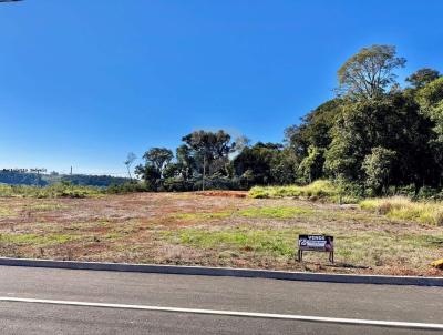 Terreno para Venda, em Xanxer�, bairro Bairro Vila Sesamo