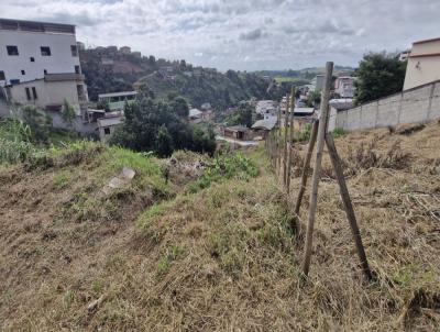 Terreno para Venda, em Barbacena, bairro Nova Su��a