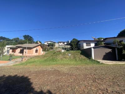 Terreno para Venda, em Tr�s Passos, bairro Santa In�s