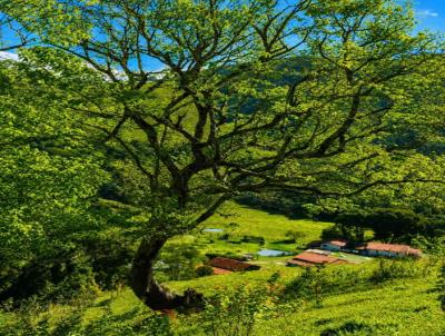 Terreno Rural para Venda, em Joan�polis, bairro 