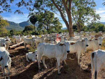 Fazenda para Venda, em Monte Alegre de Goi�s, bairro 