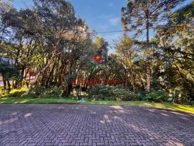 Terreno para Venda, em Canela, bairro Pinheiro Grosso