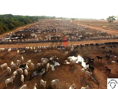 Fazenda para Venda, em Miranorte, bairro 