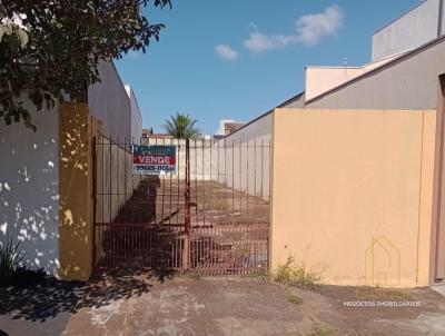 Terreno para Venda, em Assis, bairro Jardim Paran�