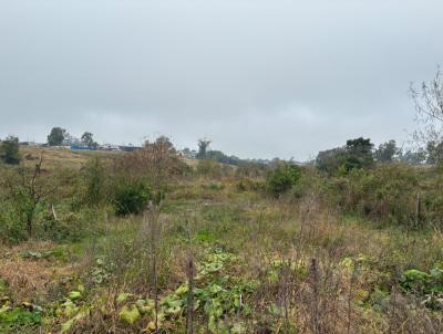 Terreno para Venda, em S�o Vicente do Sul, bairro 