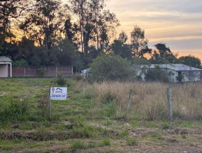 Terreno para Venda, em S�o Vicente do Sul, bairro 