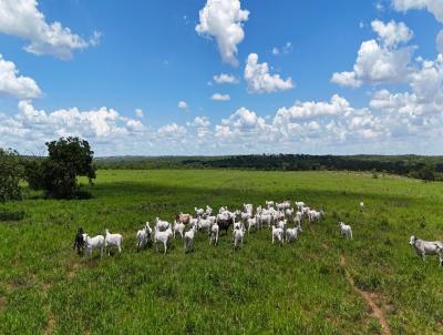 Fazenda para Venda, em Anast�cio, bairro 
