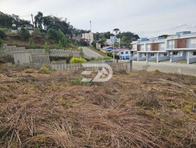 Terreno para Venda, em Caxias do Sul, bairro Ana Rech
