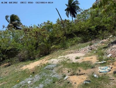 Terreno para Venda, em S�o Miguel dos Milagres, bairro 